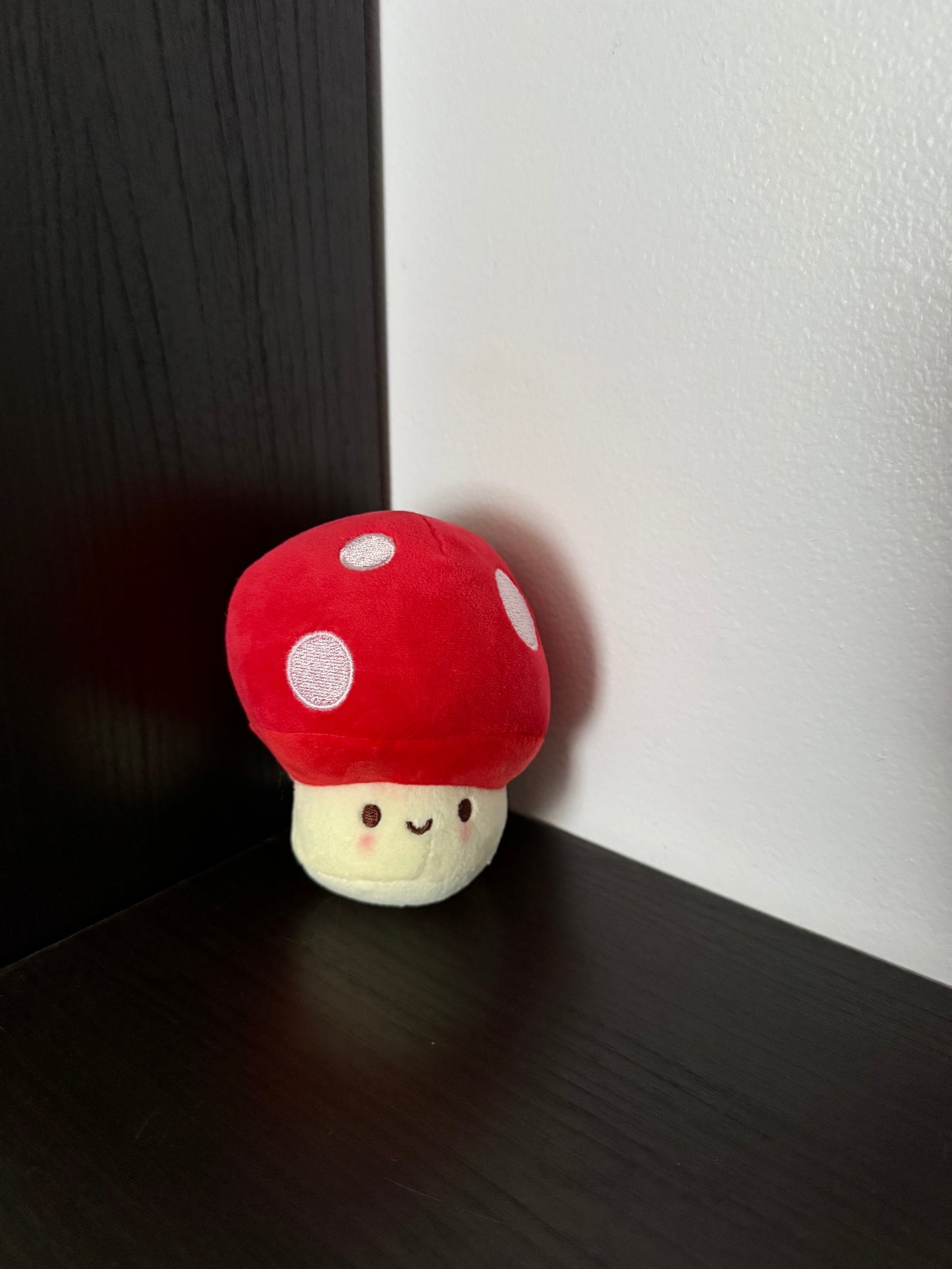 Medium-Sized Mystery Box