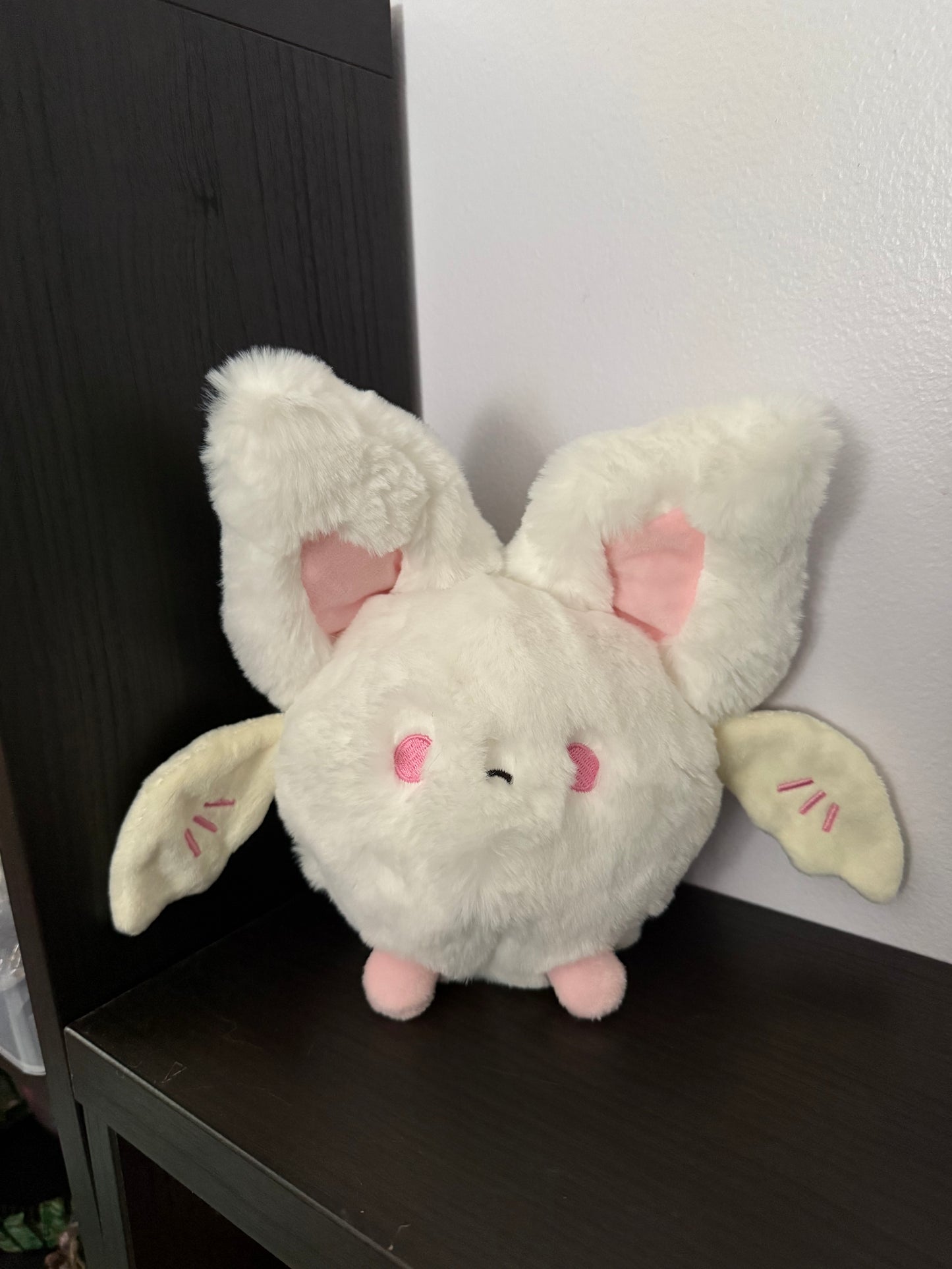 Medium-Sized Mystery Box